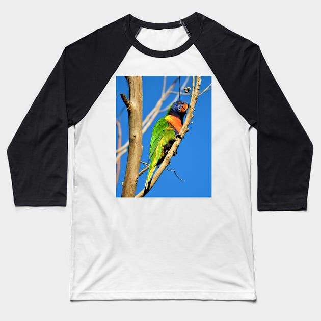 Rainbow Lorikeet Baseball T-Shirt by kirstybush